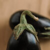 Albergínia de proximitat - El Tros d'Ordal