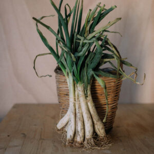 Calçots (10 unitats) de proximitat - El Tros d'Ordal