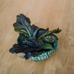 Mostassa (fulles per amanida) de proximitat - El Tros d'Ordal